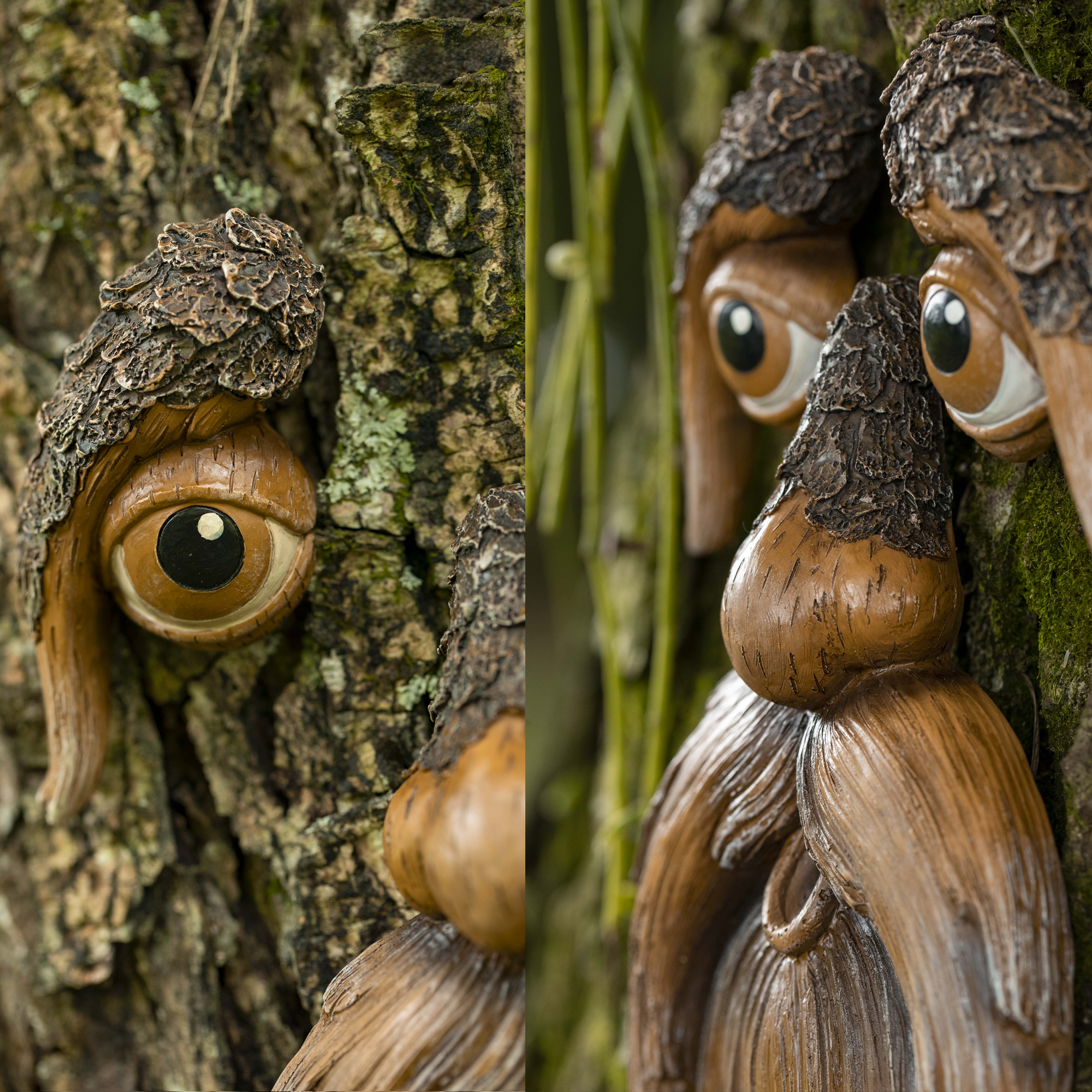 Tree Face by Tree Poetry