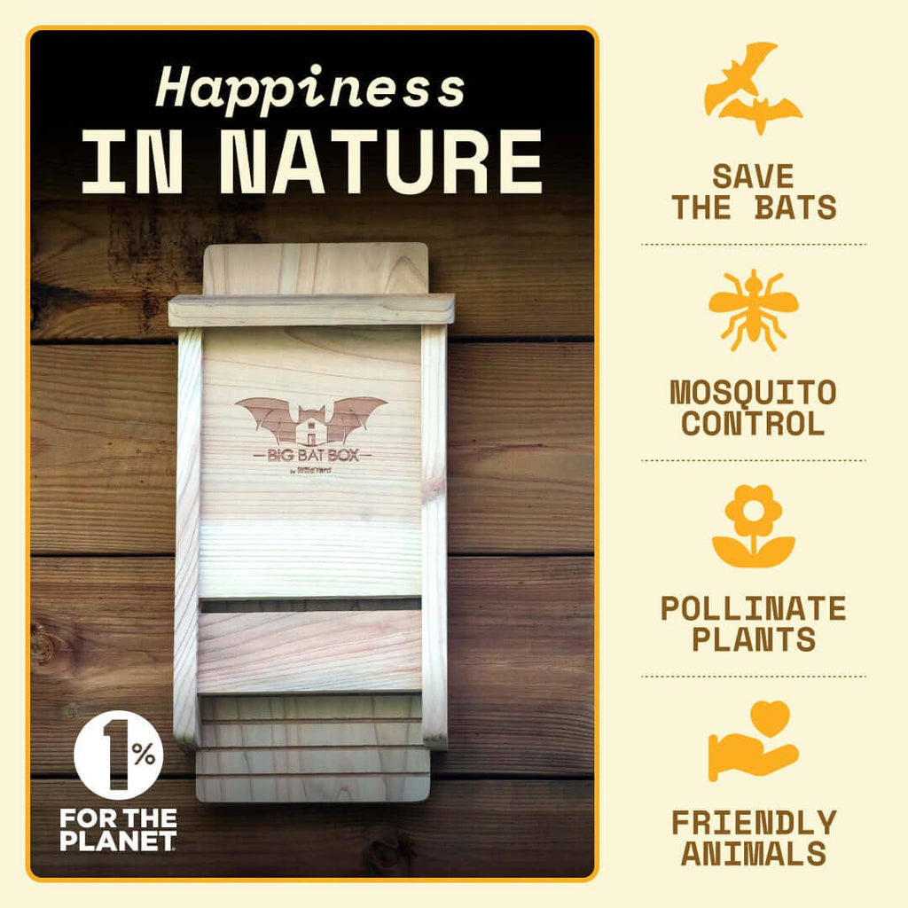 Single Chamber Bat House Cedar – Eco-Friendly Yard Shelter