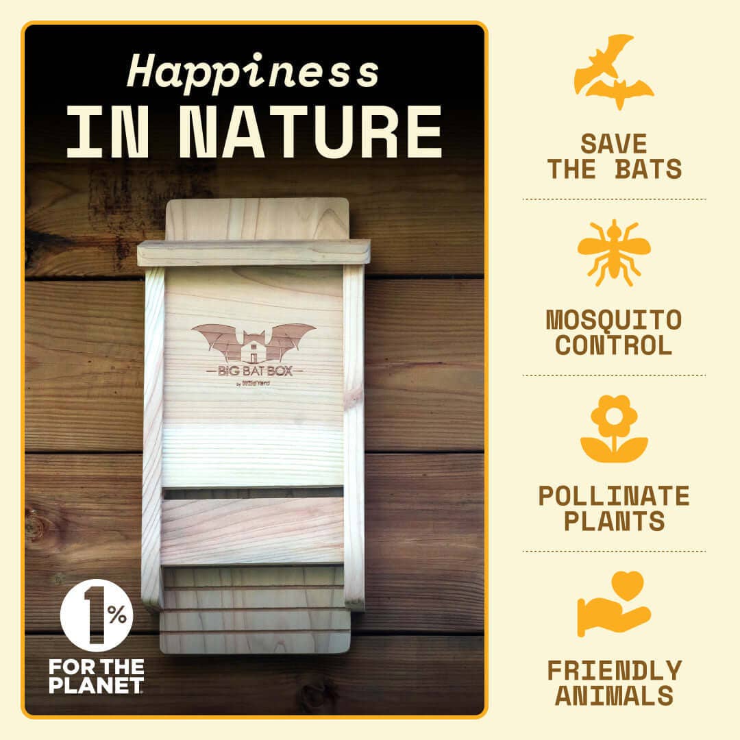Single Chamber Bat House Cedar – Eco-Friendly Yard Shelter