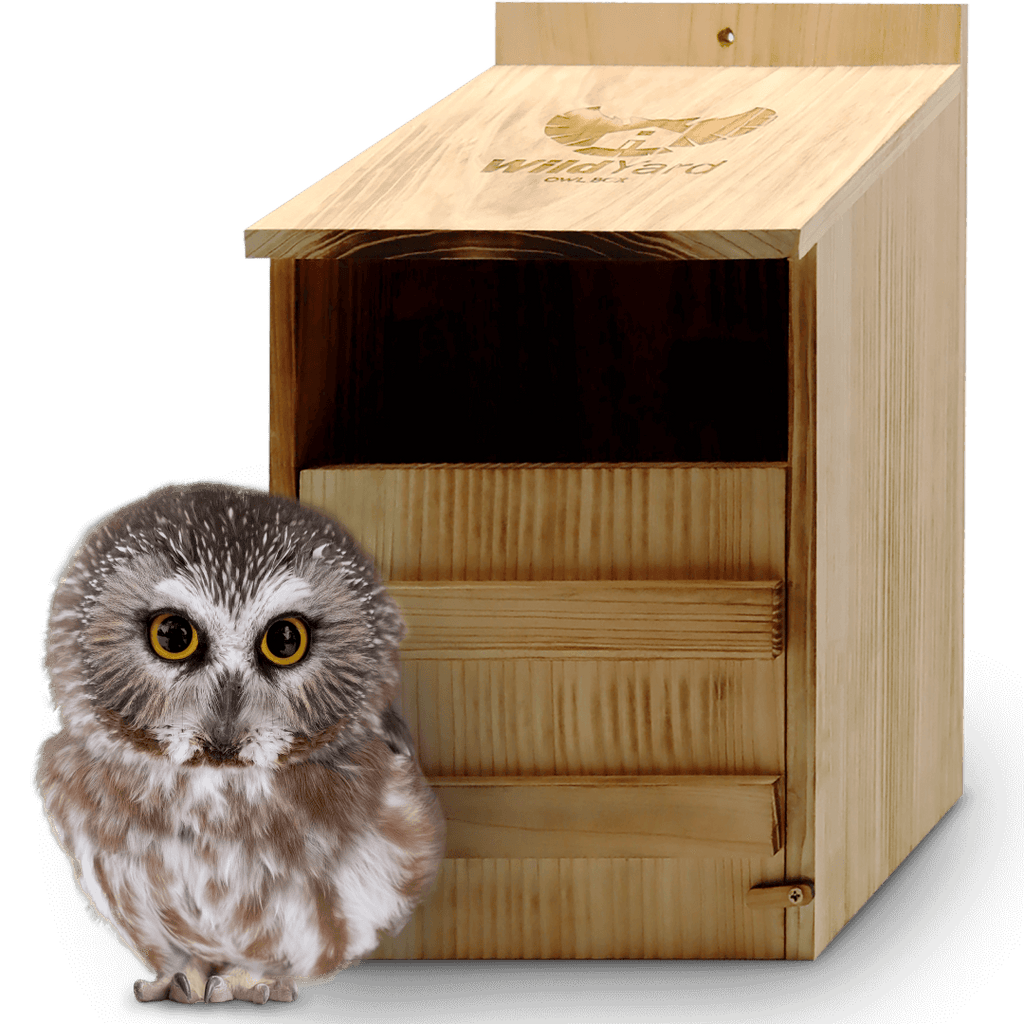 Owl Box Wooden Nesting Habitat for Backyard Wildlife