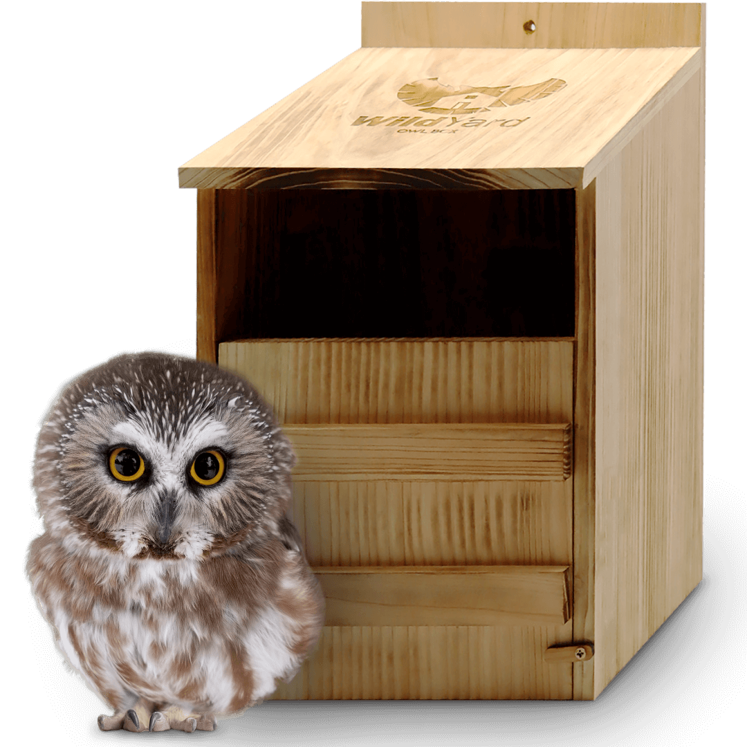 Owl Box Wooden Nesting Habitat for Backyard Wildlife