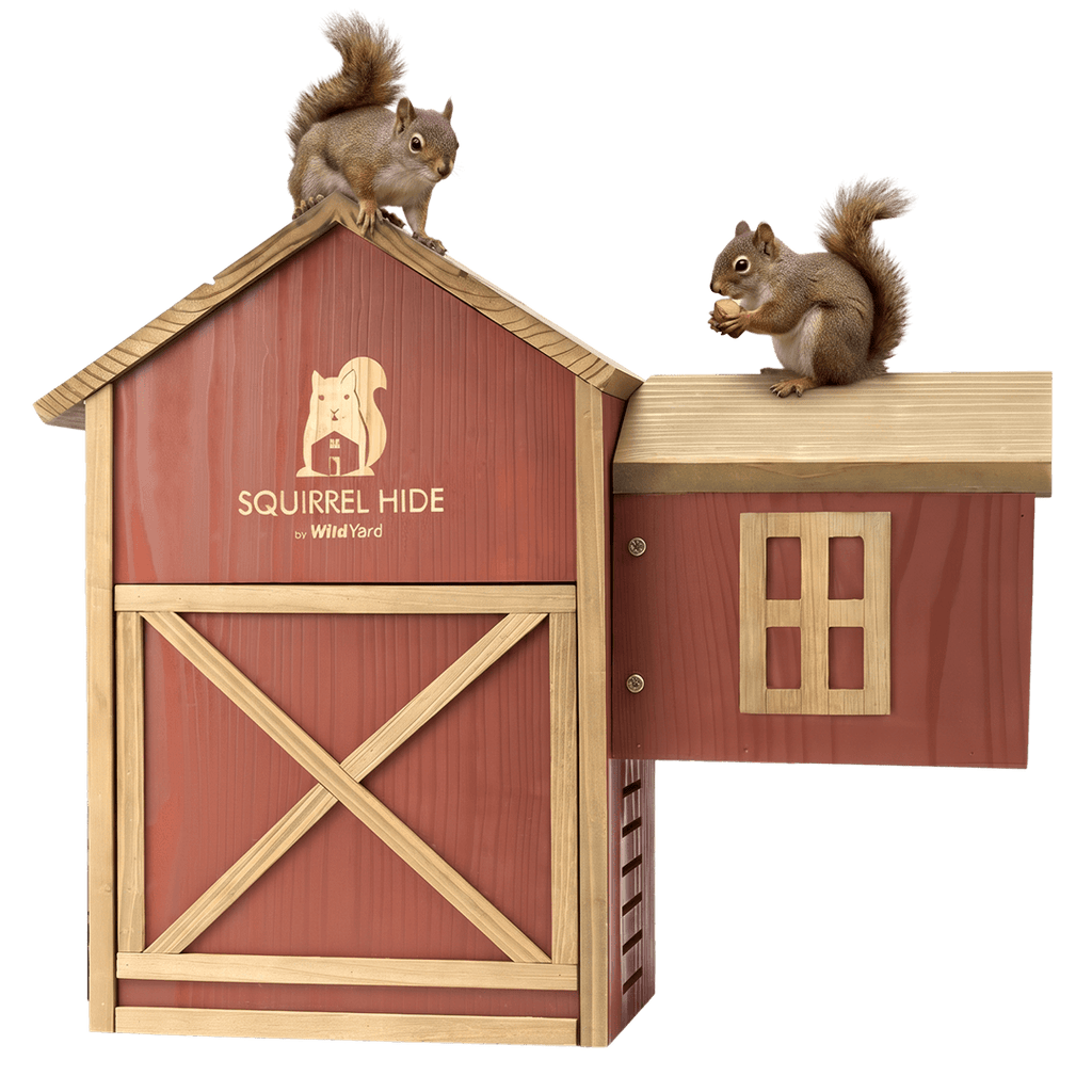 WildYard Cedar Squirrel House Hideout Feeder Outdoor Nest