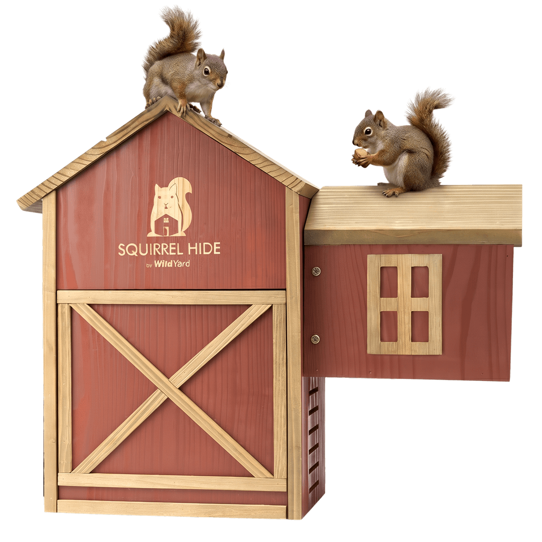 WildYard Cedar Squirrel House Hideout Feeder Outdoor Nest