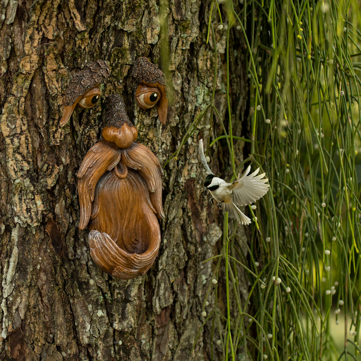 Tree Face by Tree Poetry