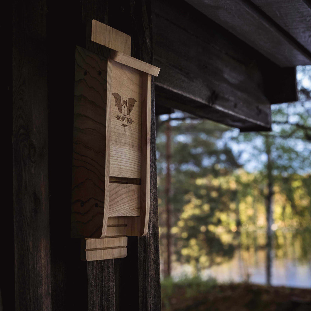 Single Chamber Bat House Cedar – Eco-Friendly Yard Shelter