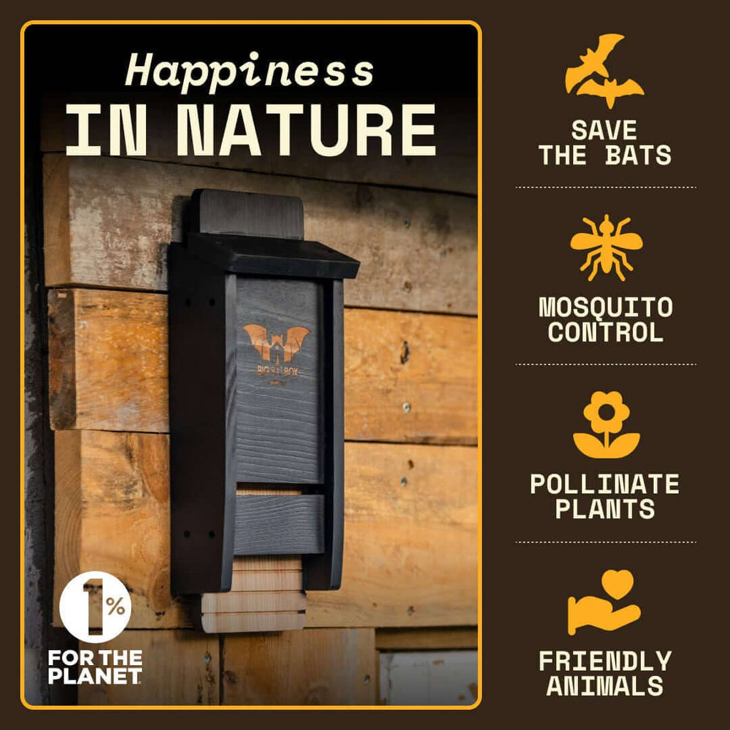 Single Chamber Bat House – Cedar Shelter for Backyard Bats