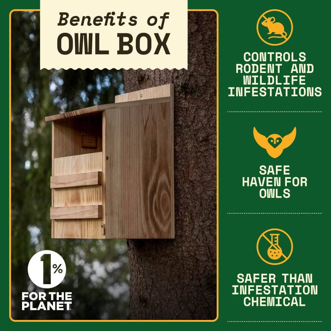 Owl Box Wooden Nesting Habitat for Backyard Wildlife