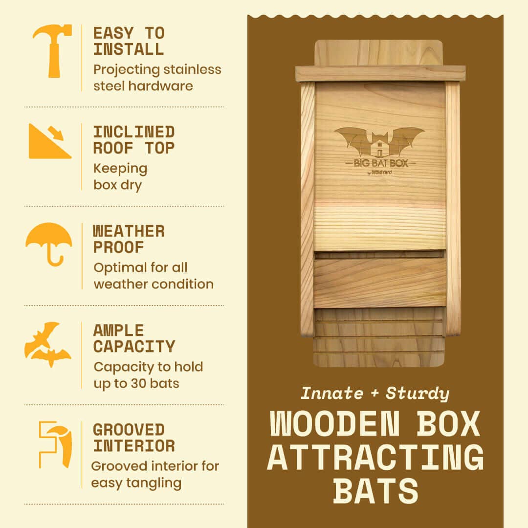 Single Chamber Bat House Cedar – Eco-Friendly Yard Shelter