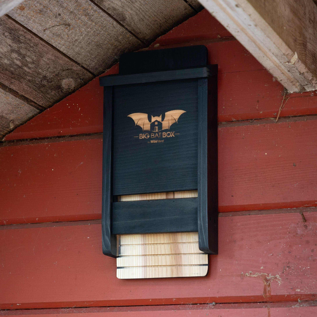 Single Chamber Bat House – Cedar Shelter for Backyard Bats