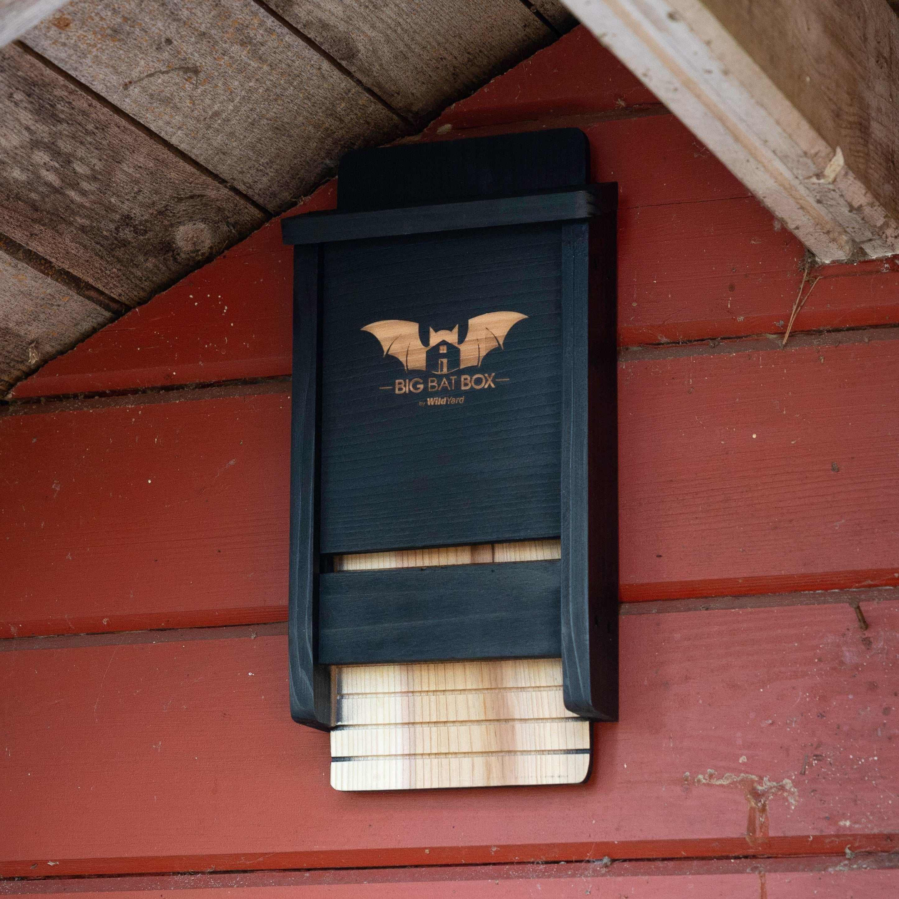 Single Chamber Bat House – Cedar Shelter for Backyard Bats