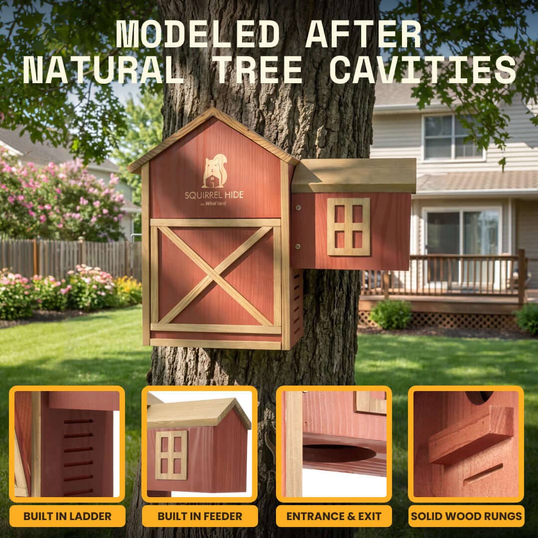 WildYard Cedar Squirrel House Hideout Feeder Outdoor Nest
