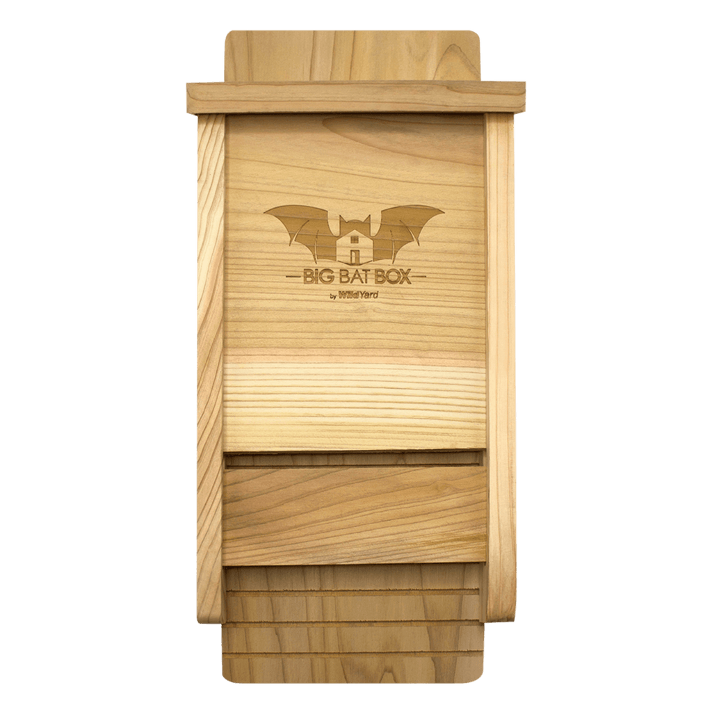 Single Chamber Bat House Cedar – Eco-Friendly Yard Shelter