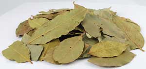 Bay Leaves whole .4oz  (Laurus Nobilis)