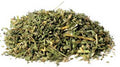 Catnip cut .4oz  (Nepeta cataria)