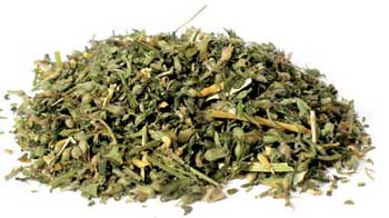 Catnip cut .4oz  (Nepeta cataria)