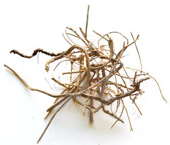 Devils Shoestring whole .4oz