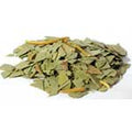 Eucalyptus cut .4oz  (Eucalyptus globulus)