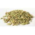 Fennel Seed .4oz  (Foeniculum vulgare)