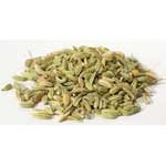 Fennel Seed .4oz  (Foeniculum vulgare)