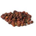 Hawthorn Berries whole .4oz  (Crataegus laevigata)