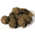High John .4oz (Ipomoea jalapa)