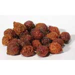 Rose Hips whole .4oz  (Rosa canina)