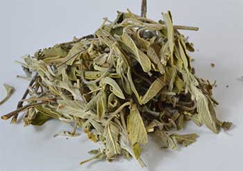 Sage Leaf cut .4oz (Salvia officinales)
