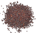 Brown Mustard Seed .4oz