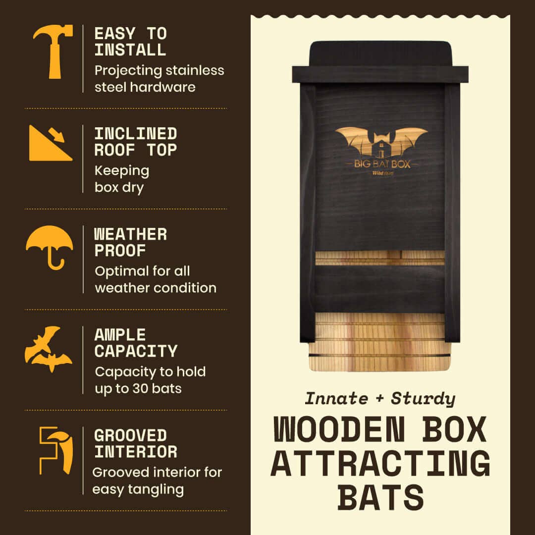 Single Chamber Bat House – Cedar Shelter for Backyard Bats