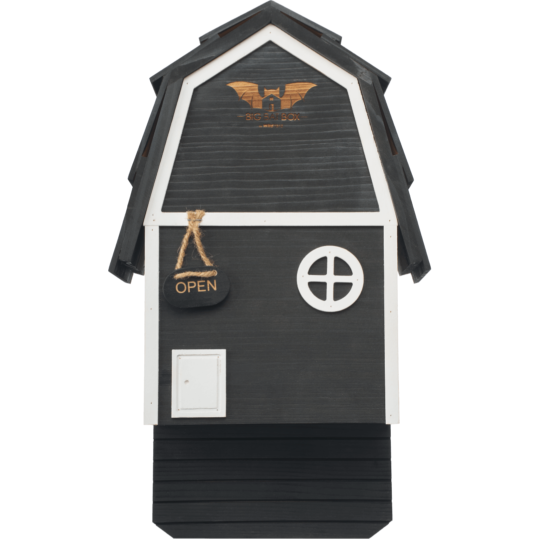 Bat Barn Junior Cedar Bat House 2 Chamber Pest Control Pro