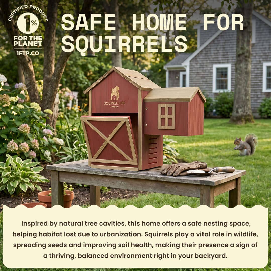 WildYard Cedar Squirrel House Hideout Feeder Outdoor Nest