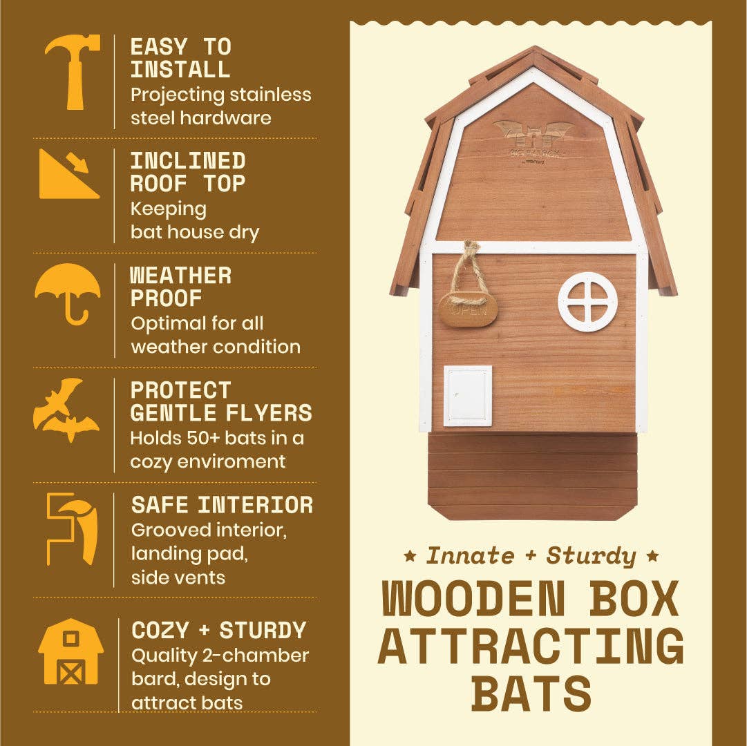 Bat Barn Junior Cedar Bat House 2 Chamber Brown Outdoor